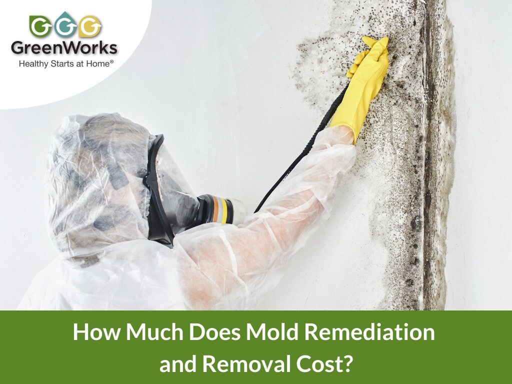 Mold Removal